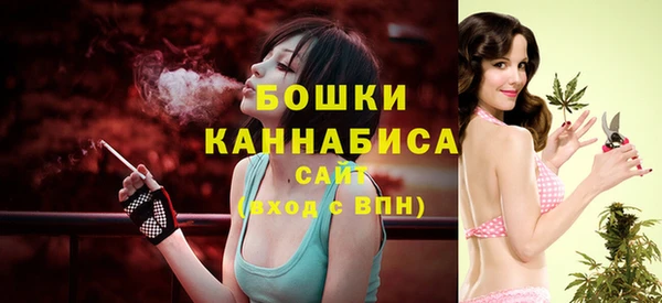 шишки Аркадак