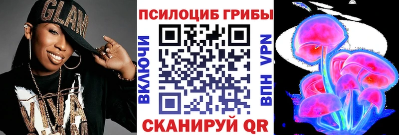 закладка  Чебаркуль  Галлюциногенные грибы MAGIC MUSHROOMS 